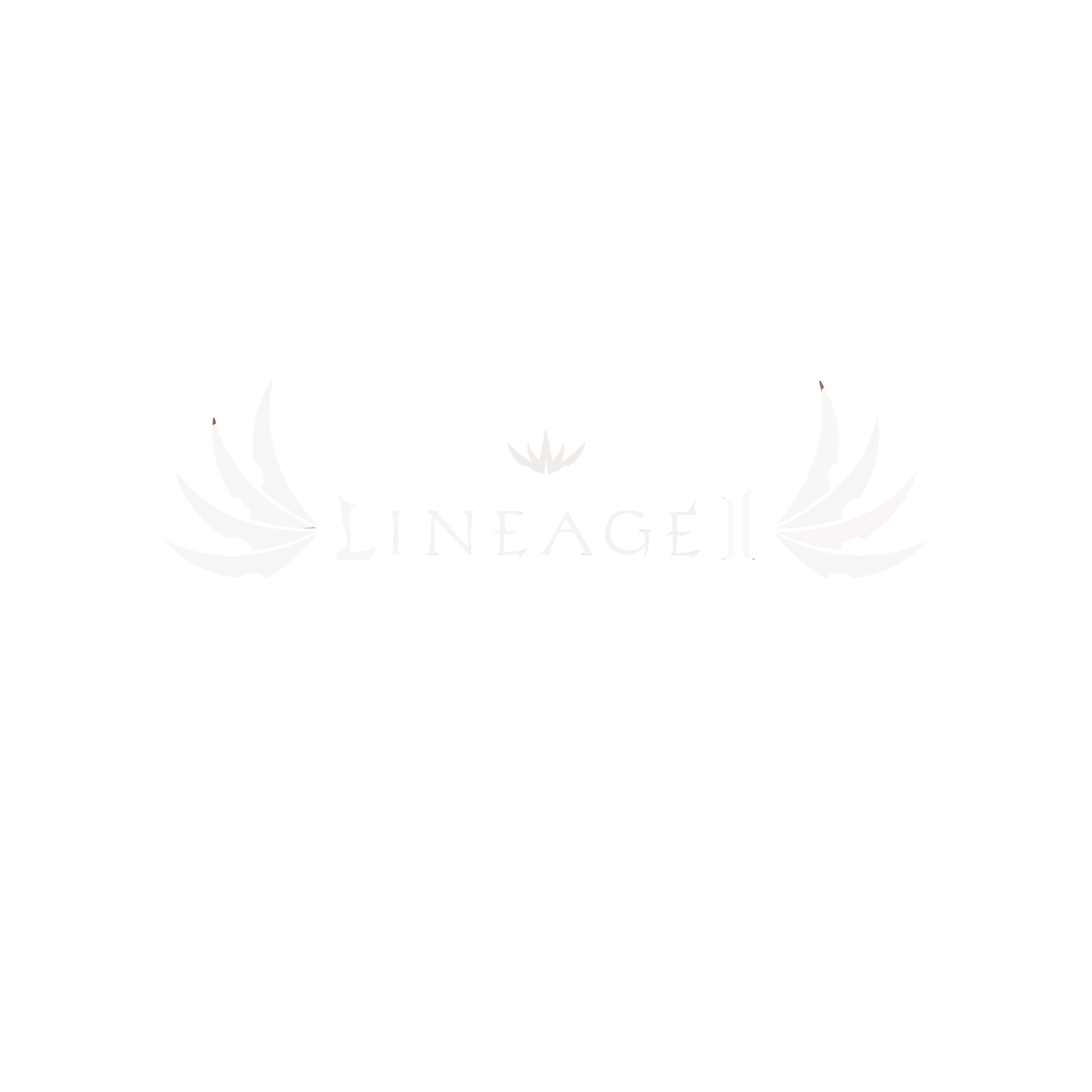 LineageII - Fúria